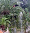 Tropical oasis palm trees waterfall Royalty Free Stock Photo