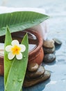 Tropical objects for massage and spa salon concept Royalty Free Stock Photo