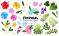 Tropical objects set Royalty Free Stock Photo