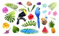 Tropical objects set Royalty Free Stock Photo