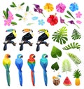 Tropical objects set Royalty Free Stock Photo