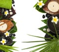 Tropical objects for spa therapy massage Top view Royalty Free Stock Photo