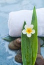 Tropical objects and whitel towel for Spa massage treatment Royalty Free Stock Photo