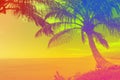 Tropical ocean landscape with palm on summer and retro vintage 90`s style. Royalty Free Stock Photo