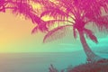 Tropical ocean with palm trees at sunset Royalty Free Stock Photo