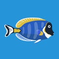 Tropical ocean surgeon fish, vector illustration Royalty Free Stock Photo