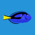 Tropical ocean surgeon fish, vector illustration Royalty Free Stock Photo
