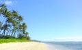 Tropical ocean, trees and sky by landscape with mockup space, nature and beach with summer sunshine. Outdoor, Hawaii and