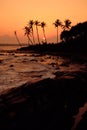 Tropical Orange Sunset Palm Silhouette Landscape. Sri Lanka Beach Royalty Free Stock Photo