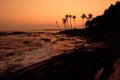 Tropical Orange Sunset Palm Silhouette Landscape. Sri Lanka Beach Royalty Free Stock Photo