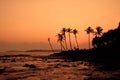 Tropical Orange Sunset Palm Silhouette Landscape. Sri Lanka Beach Royalty Free Stock Photo