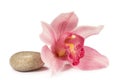 Tropical orchid with a stone for a spa