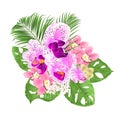 Tropical Orchids Cymbidium pink and Phalaenopsis flowers and Monstera and palm on a white background vintage vector illustratio