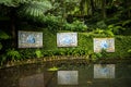 Tropical Palace Garden at Monte above Funchal Madeira