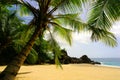 Tropical palm beach Royalty Free Stock Photo