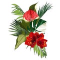 Tropical palm branches and exotic leaves, Spathiphyllum, amarylis red flower composition over white background.