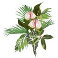 Tropical palm branches and exotic leaves, Spathiphyllum flower composition over white background.