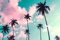 Tropical palm coconut trees on sunset sky flare and bokeh nature Royalty Free Stock Photo