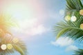 Tropical palm coconut trees on sunset sky flare and bokeh nature background Royalty Free Stock Photo