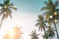 Tropical palm coconut trees on sunset sky flare and bokeh nature background Royalty Free Stock Photo