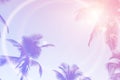 Tropical palm coconut trees on sunset sky flare and bokeh nature background Royalty Free Stock Photo