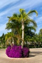 Tropical Palm Garden with Flowers