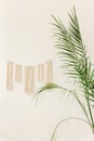 Tropical palm in home in flowerpot on white background. Modern minimalistic interior with an home plant. Flat lay, top Royalty Free Stock Photo