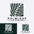 Tropical Palm leaf logo vector design template Royalty Free Stock Photo