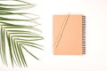 Tropical palm leaf, notebook and pencil on white background. Summer concept. Flat lay, top view