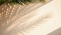 Tropical Palm Leaf Shadow on Beige Wall - Summer Background Royalty Free Stock Photo