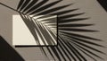 Tropical palm leaf shadow cast on a textured surface with a blank card Royalty Free Stock Photo