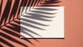 Tropical Palm Leaf Shadow on a Warm Terracotta Background with White Card Royalty Free Stock Photo