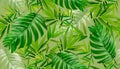 614_Tropical palm leaves background. Seamless vector