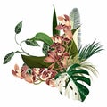 Tropical palm leaves, beige orchid flowers, text Summer, white background.