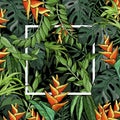Tropical palm leaves and bird of paradise flower, background with jungle foliage and white frame