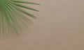 Tropical palm leaves brown cardboard background