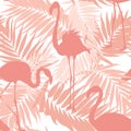 Tropical palm leaves exotic flamingo birds pink