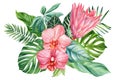 Tropical palm leaves and flowers, monstera, protea and hibiscus. Green leaves painted hand-made watercolor, botanical Royalty Free Stock Photo