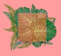 Tropical palm leaves frame on coral backdrop. Summer tropical leaf. Exotic hawaiian jungle, summertime background. Pastel Royalty Free Stock Photo
