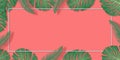 Tropical palm leaves frame on coral backdrop. Summer tropical leaf. Exotic hawaiian jungle, summertime background. Pastel Royalty Free Stock Photo