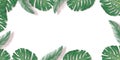 Tropical palm leaves frame on white backdrop. Summer tropical leaf. Exotic hawaiian jungle, summertime background. Pastel Royalty Free Stock Photo