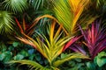 Tropical palm leaves in the garden. Colorful background.