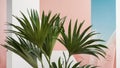 Tropical Palm Leaves on Geometric Pink and Blue Background. Royalty Free Stock Photo