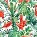 Tropical palm leaves and ibis birds on an isolated background. Watercolor illustration, seamless pattern Royalty Free Stock Photo