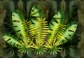 Tropical palm leaves, jungle leaf floral background.