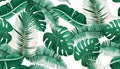 601_Tropical palm leaves, jungle leaf seamless vector floral pattern background