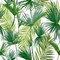 Tropical Palm Leaves, Jungle Leaves Seamless Floral Pattern Background Royalty Free Stock Photo