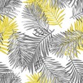 Tropical palm leaves, jungle leaves seamless vector floral pattern background. Royalty Free Stock Photo