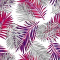 Tropical palm leaves, jungle leaves seamless vector floral pattern background. Royalty Free Stock Photo