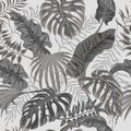 Tropical palm leaves, jungle leaves seamless vector floral pattern background Royalty Free Stock Photo